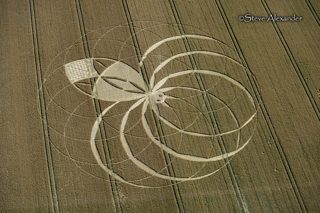 aerial of Cerne Abbas