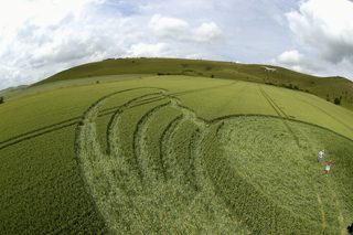 other of Milk Hill