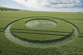 aerial of Devil's Den, Wiltshire from tt