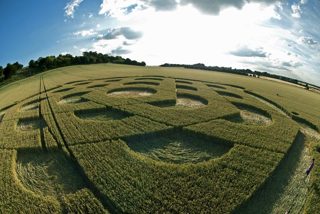 other of Danebury Hill from tt