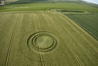 aerial of West Kennett from tt