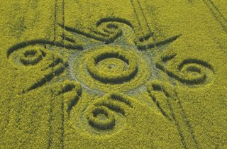 aerial of Roundway Devizes
