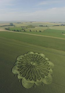 aerial of Waden Hill from tt
