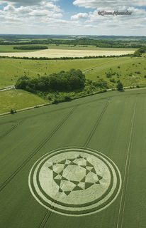 aerial of Danebury Hill from tt