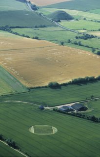 aerial of Adams Grave