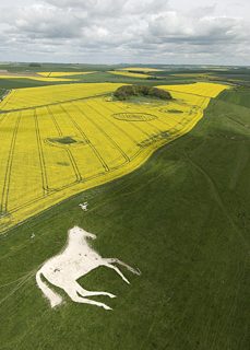 aerial of Roundway Hill from tt