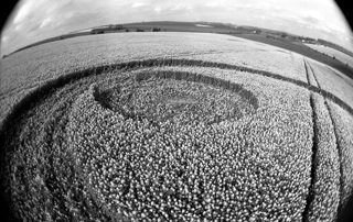 other of Avebury