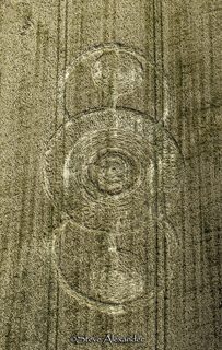 aerial of Norridge Wood from tt