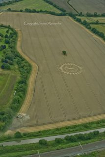 aerial of Nettle Hill from tt