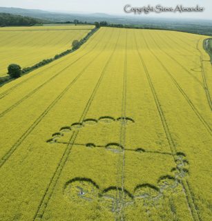 aerial of Willoughby Hedge from tt