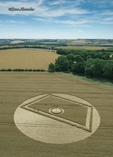 aerial of Gurston Ashes from tt