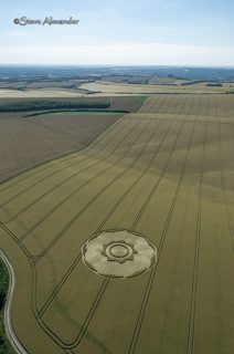 aerial of Longwood Warren from tt