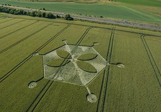 aerial of Yarnbury Castle from tt