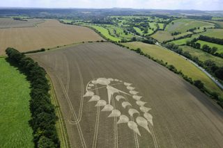 aerial of Ogbourne St Andrew from tt