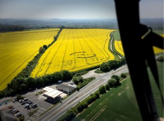 other of Willoughby Hedge from tt