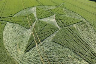 aerial of Savernake Forest from tt