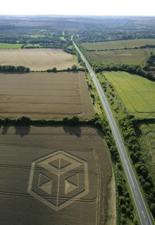 aerial of BIshop Sutton