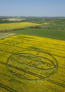 aerial of West Kennett