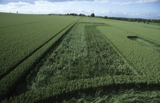 other of Silbury Hill