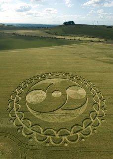 aerial of Furze Knoll from tt