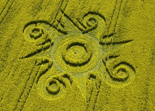 aerial of Roundway Devizes