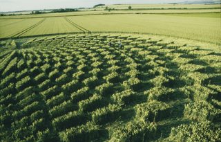 other of Avebury Trusloe