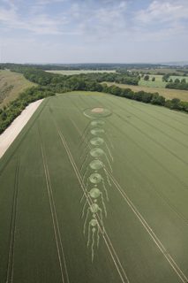 aerial of Martinsell Hill from tt
