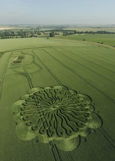 aerial of Waden Hill from tt