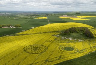 aerial of Roundway Hill from tt