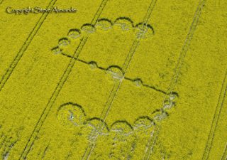 aerial of Willoughby Hedge from tt