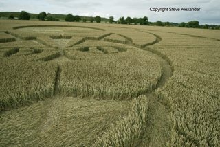 aerial of Figsbury Rings from tt