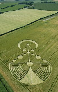 aerial of Badbury Rings from tt