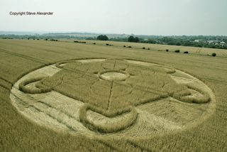 aerial of Nursteed from tt