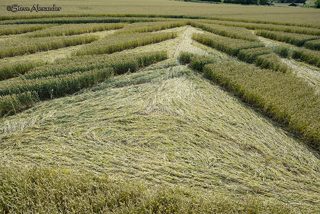 aerial of Tichborne from tt
