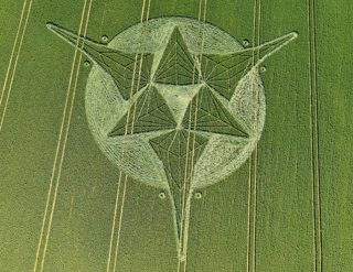 aerial of Savernake Forest from tt