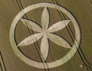 aerial of Buckland