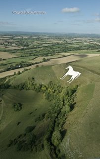 aerial of Westbury from tt