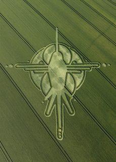 aerial of Milk Hill