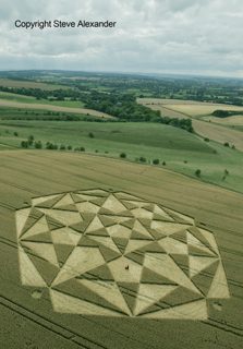 aerial of Ranscomb Bottom from tt