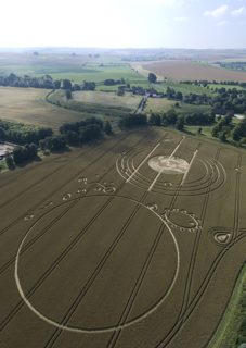 aerial of Avebury Manor