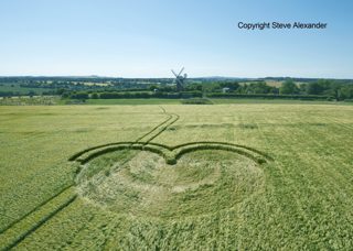 aerial of Wilton Windmill from tt