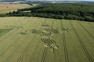 aerial of West Woods (nr Lockeridge)