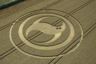aerial of West Meon
