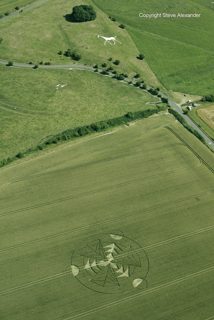 aerial of Hackpen Hill from tt