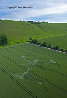 aerial of Golden Ball Hill