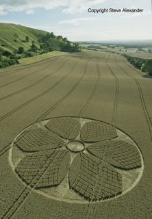 aerial of Westbury from tt