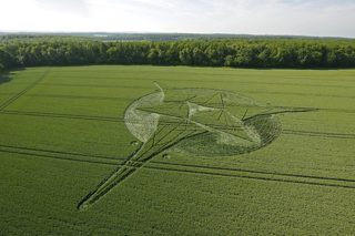 aerial of Savernake Forest