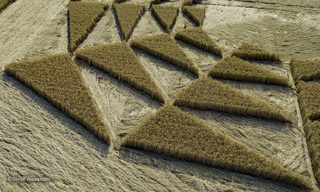 aerial of Barbury Castle from tt