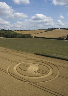 aerial of West Meon from tt