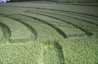 other of Cowdown